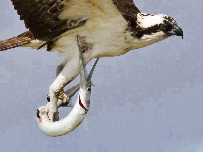 buza stufului.... :) - 482741501453769890994242459781n.jpg